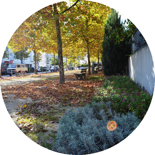 platz_kreis